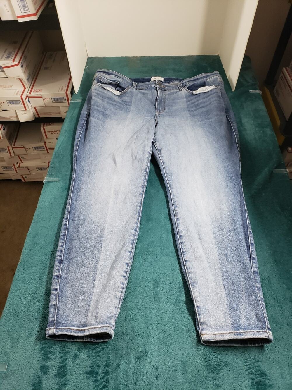 Lane Bryant Jeans Size 22 Women Blue Stretch Denim Pants Ladies Mid Rise Skinny
